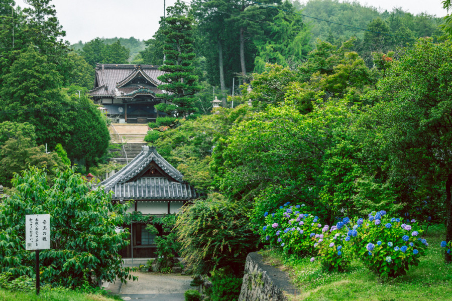 最上本山 御滝 龍泉寺
