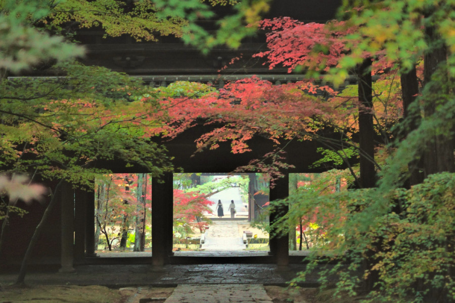 曹源寺