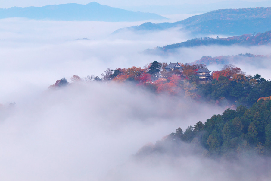 日本一高い山城「備中松山城」と城下町散策1日コース