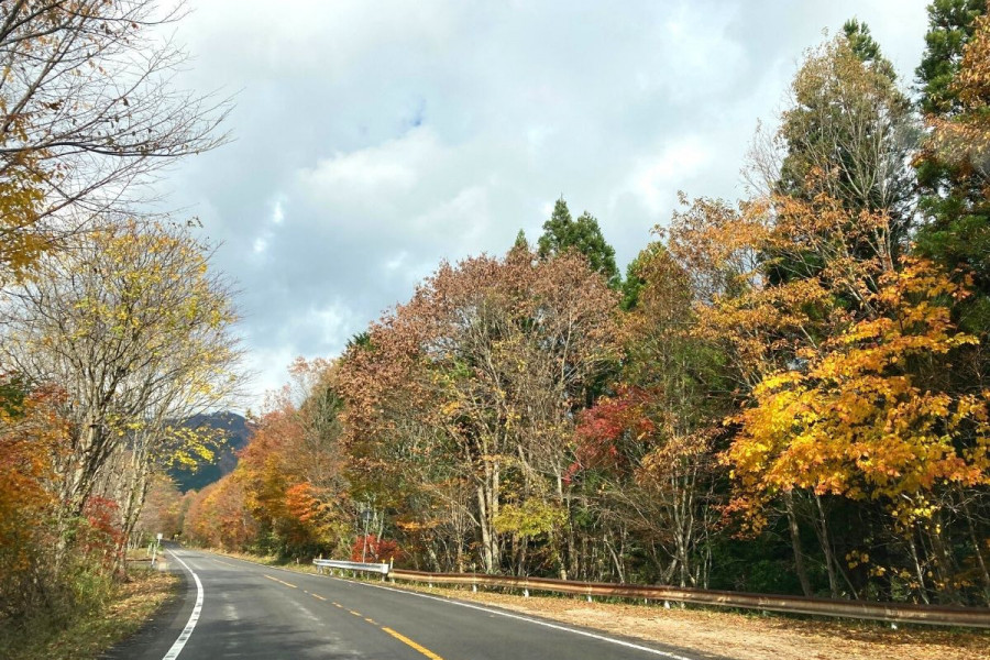 蒜山大山スカイラインの紅葉を楽しむ日帰りドライブコース
