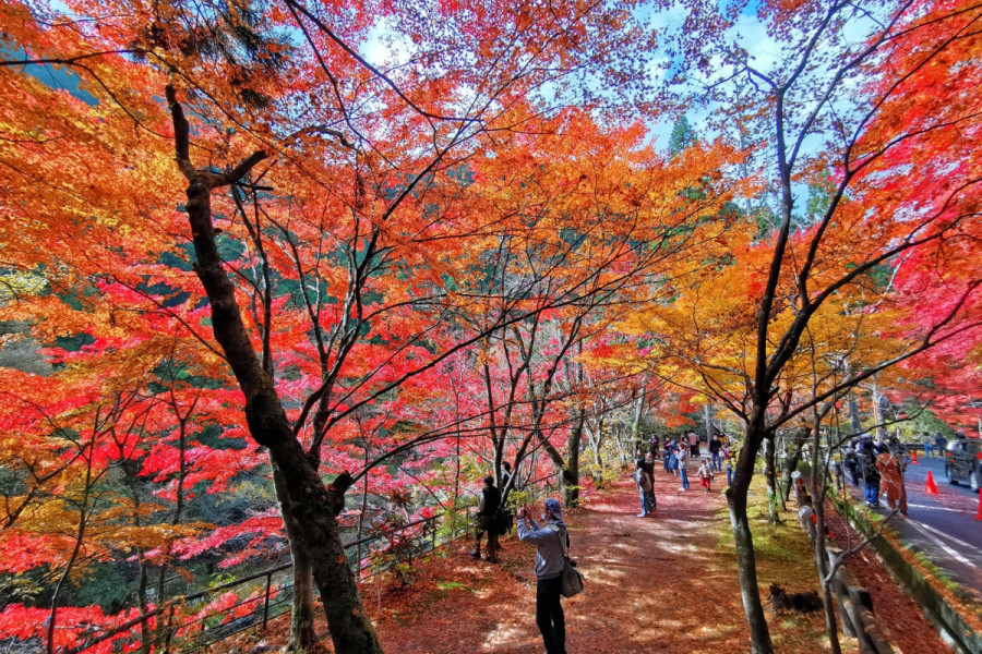 奥津渓の紅葉と奥津温泉で心も体もリフレッシュする秋のドライブコース