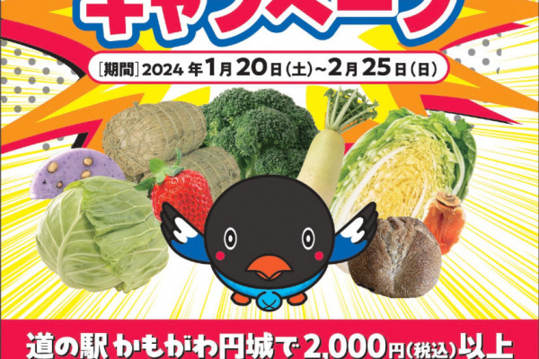 チラシ表