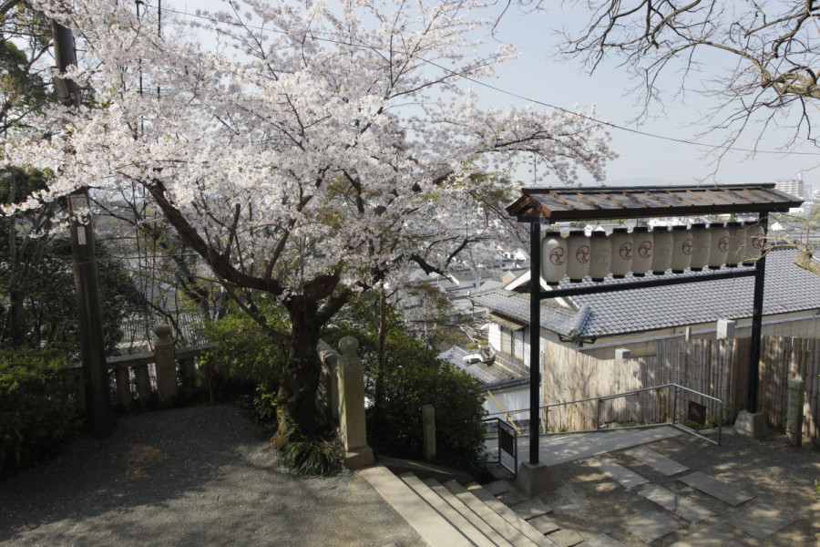 鶴形山公園