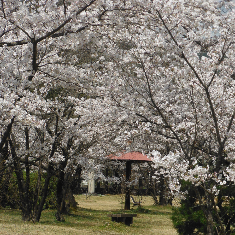 芳嵐園（和気神社外苑）