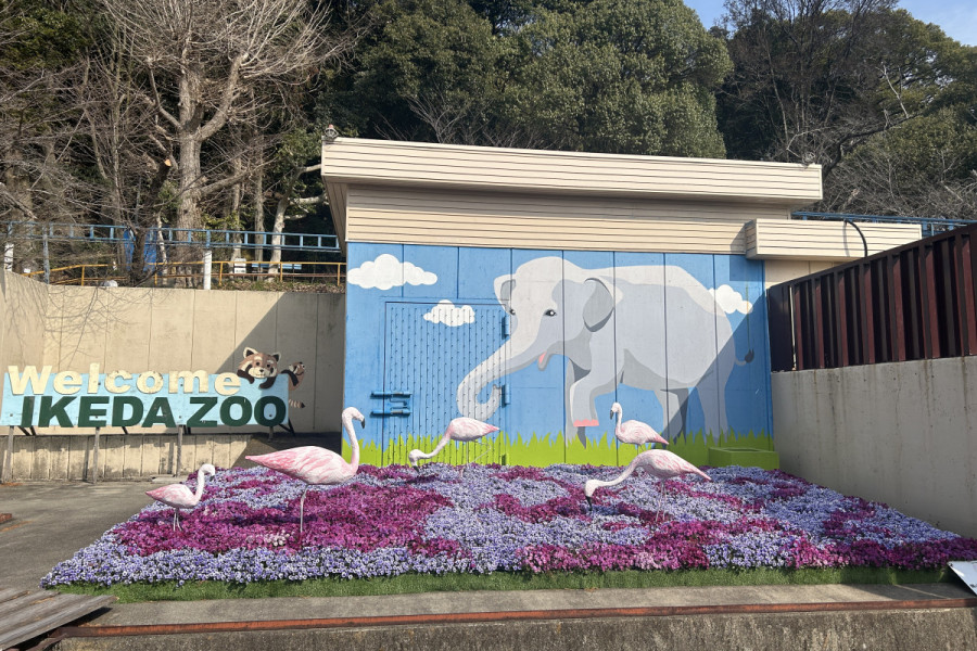池田動物園　動物たちと花フェス2024