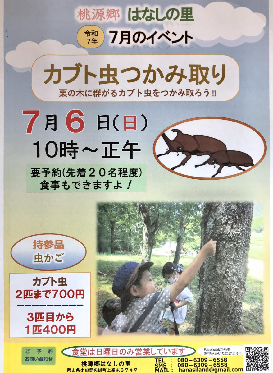 チラシ