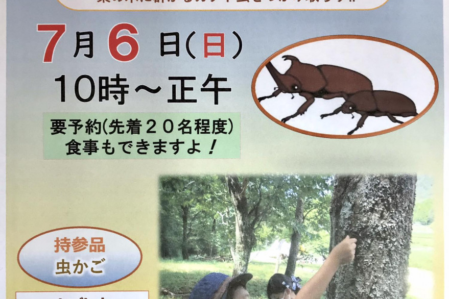 【要予約】桃源郷はなしの里「カブト虫つかみ取り」
