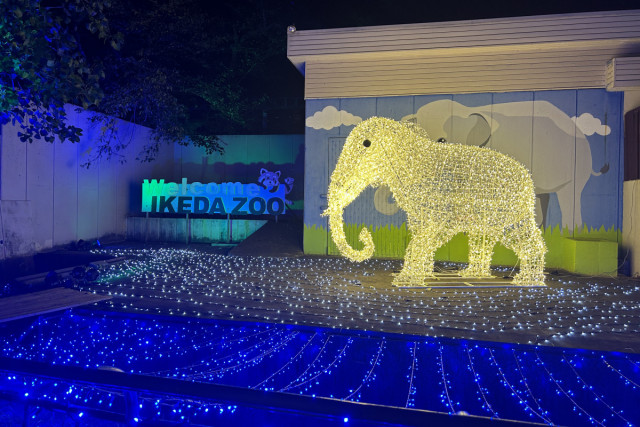 池田動物園　光のナイトズー2025