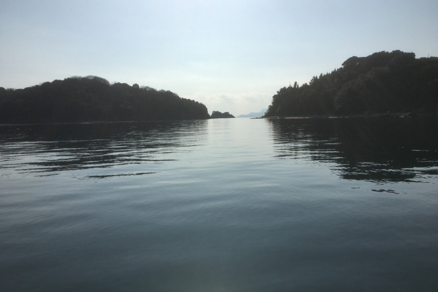 鶴島