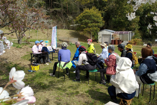 宗堂桜での現地ガイドと紙芝居
