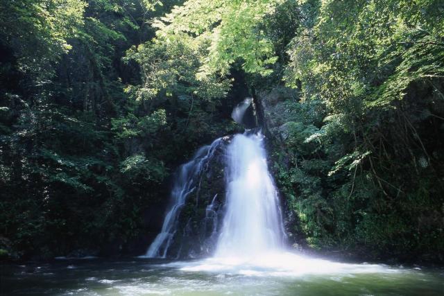 鳴滝