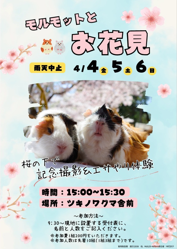 チラシ