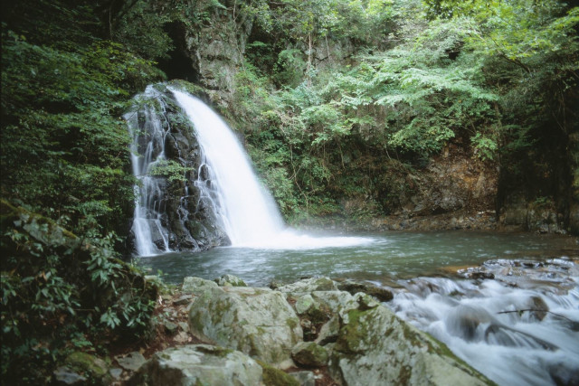 鳴滝