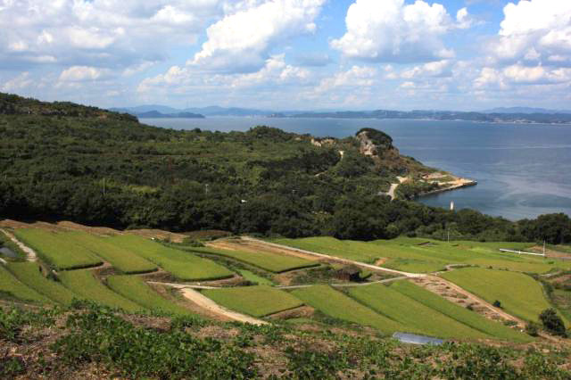 【瀬戸内国際芸術祭2025】岡山駅からアートを巡る「豊島」コース