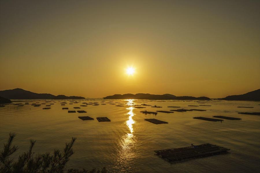虫明迫門の曙