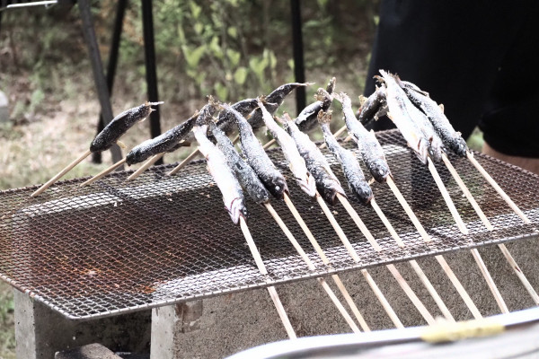 とった魚を焼く様子