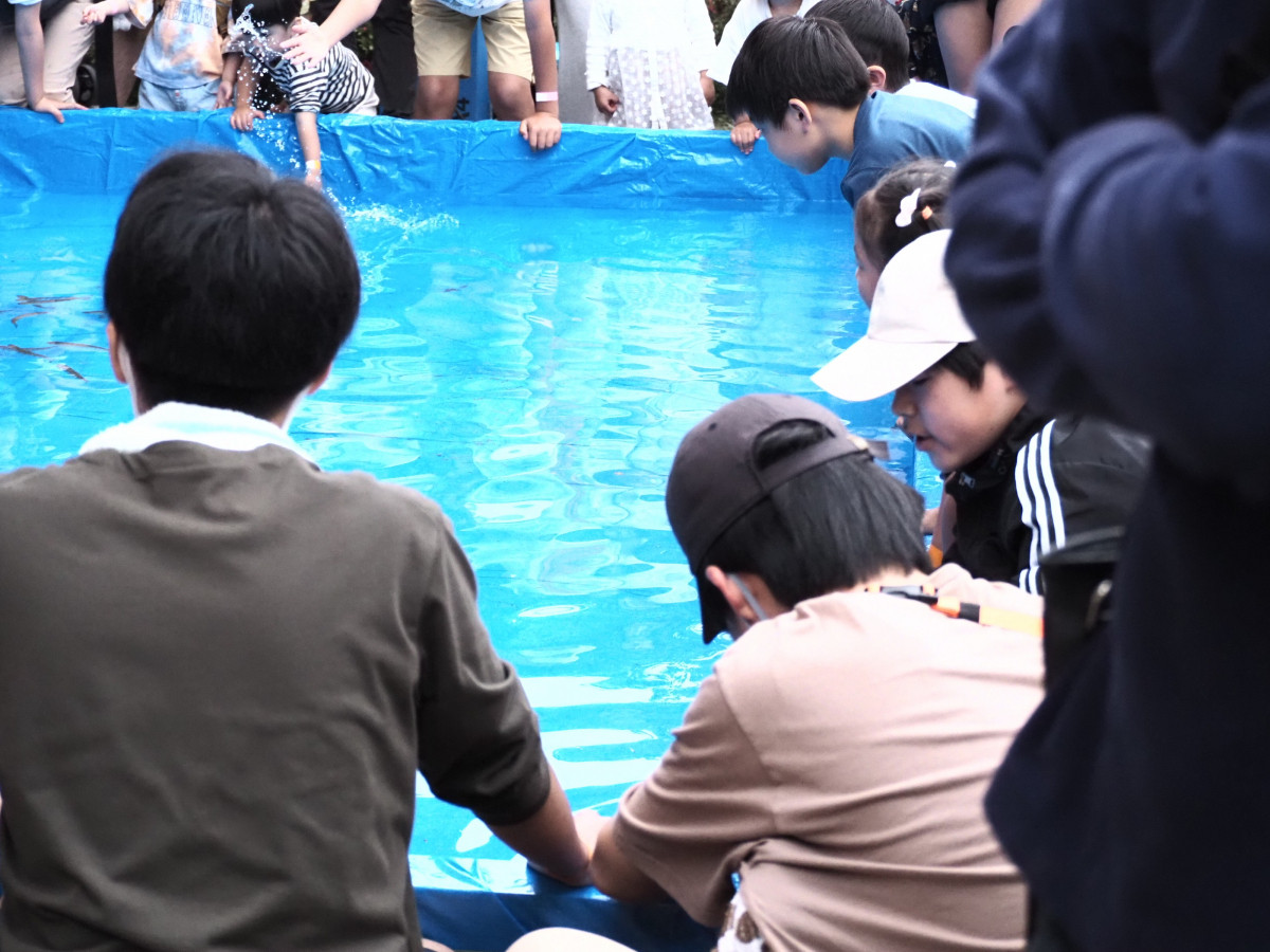 魚つかみプール