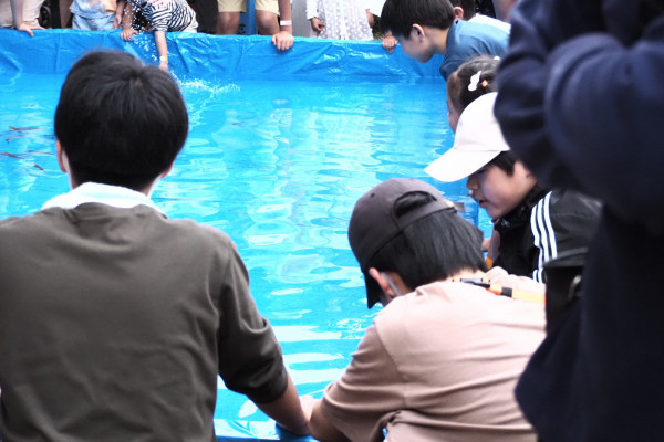 魚つかみプール