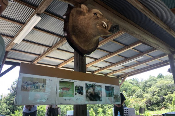 空の猟師小屋