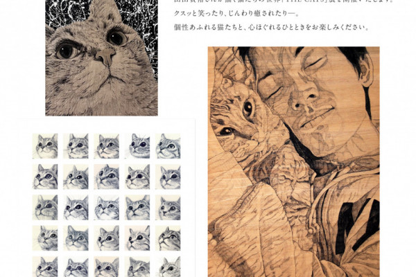 チラシ裏