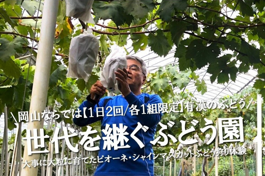 【体験型ツーリズム】（1日2回／各1組限定）フルーツ王国おかやま☀世代を継ぐ有漢町のぶどう園　作り手の話が聞けるぶどう狩り体験