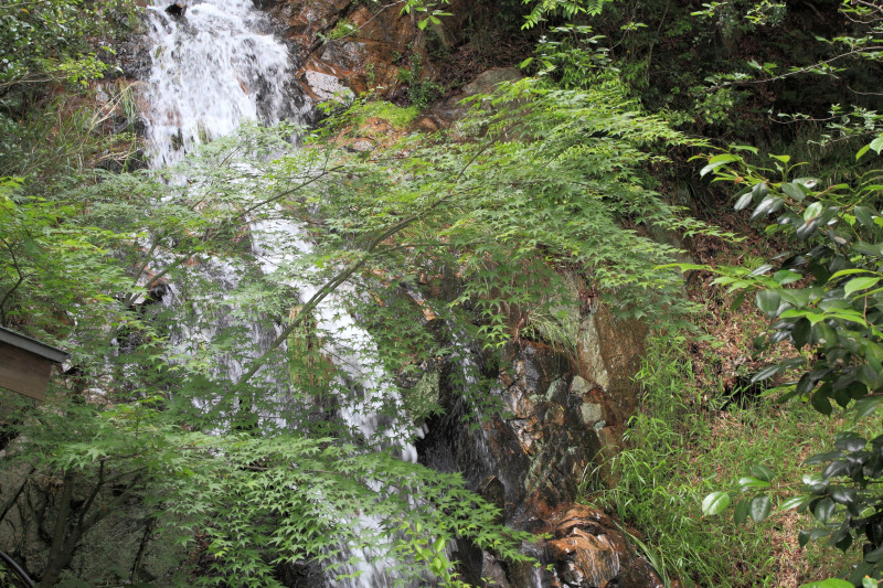 不動の滝（鳴滝）