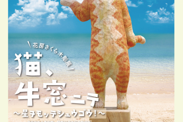 チラシ