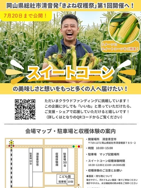 チラシ
