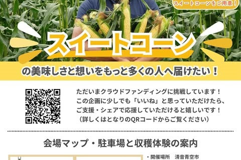 チラシ