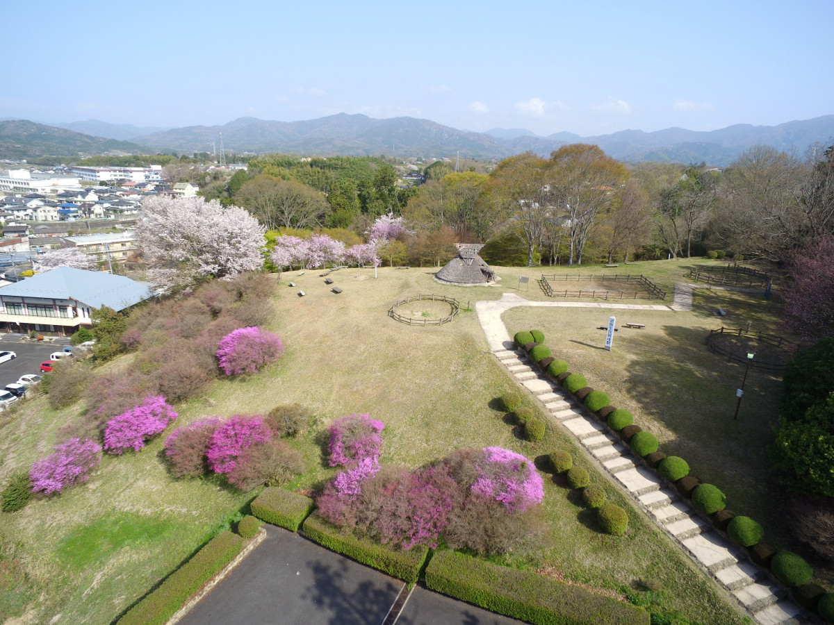 沼遺跡（春）