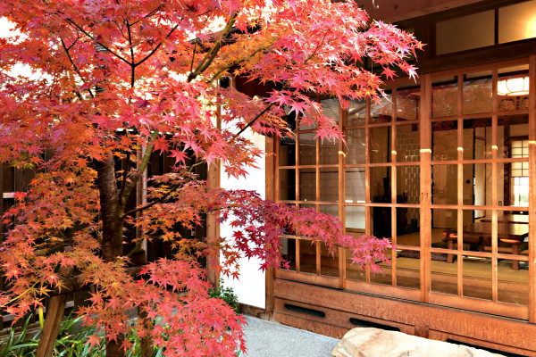 中庭（紅葉）