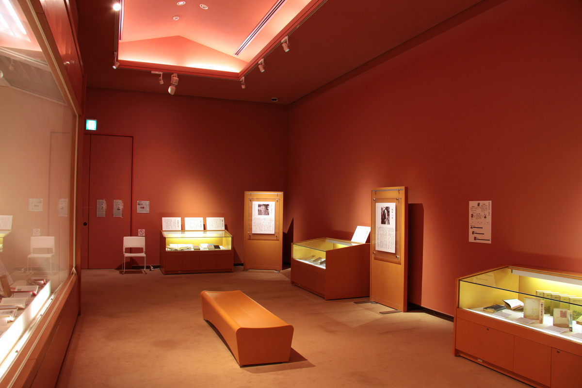 展示