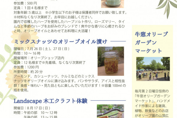 7-8月イベント案内