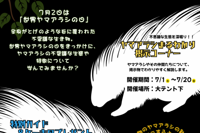 池田動物園　世界ヤマアラシの日特別イベント