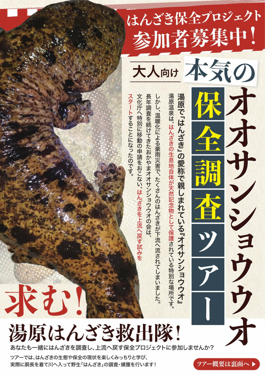 チラシ表