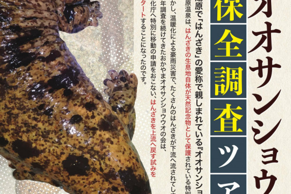 チラシ表