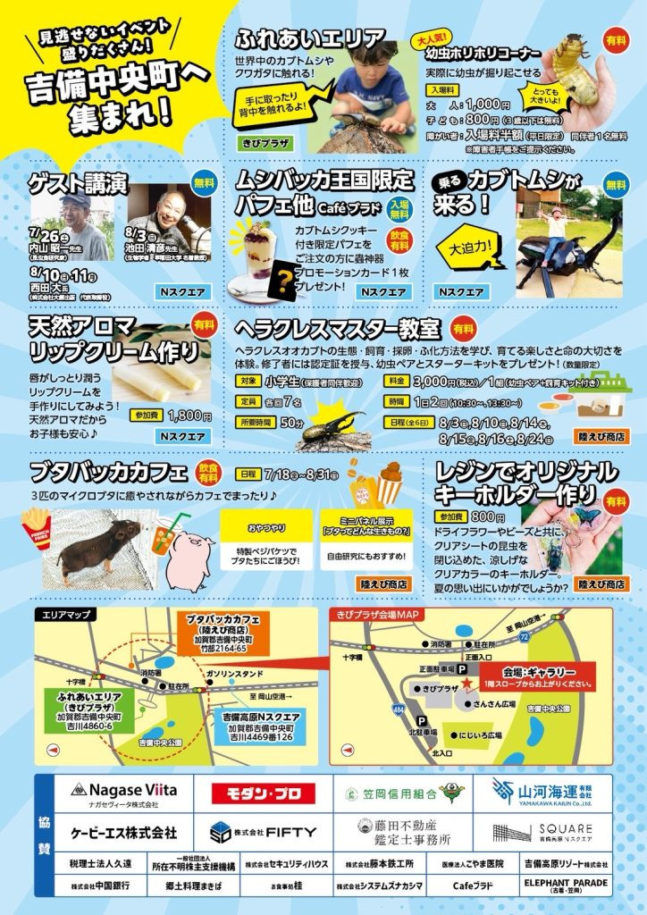 チラシ裏
