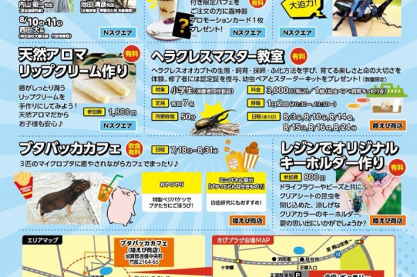 チラシ裏