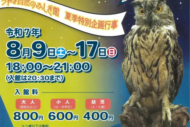 つやま自然のふしぎ館　第11回ナイトミュージアム