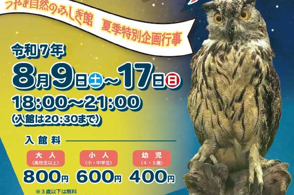 つやま自然のふしぎ館　第11回ナイトミュージアム