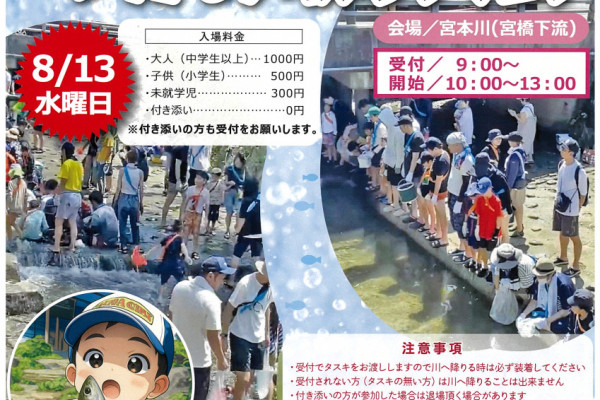 チラシ