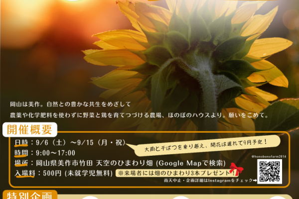 チラシ