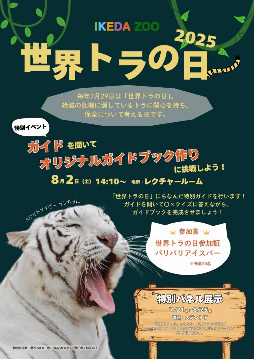 チラシ