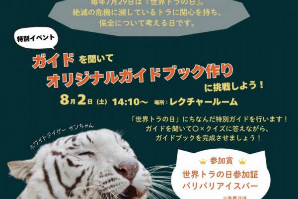 チラシ