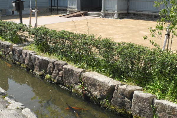 用水