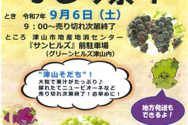 チラシ