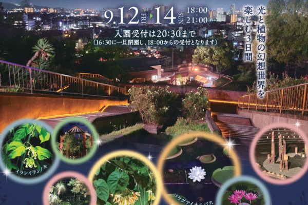 チラシ表