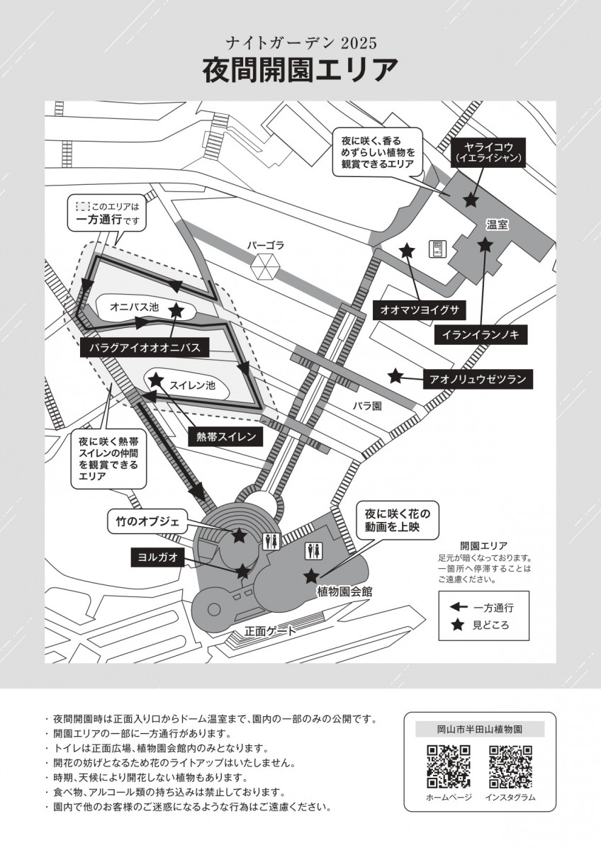 チラシ裏