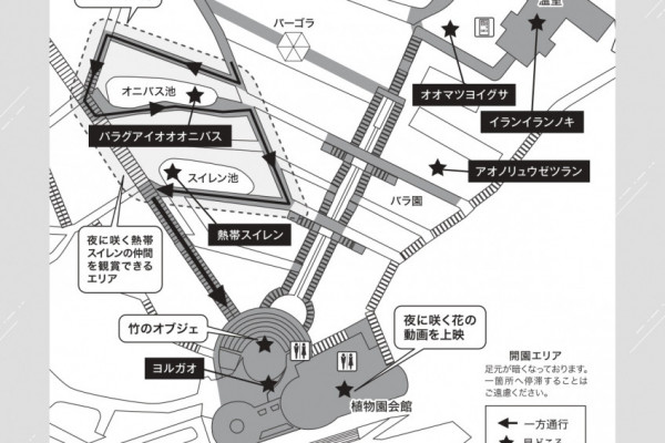 チラシ裏