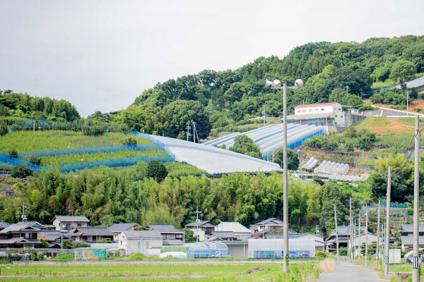 山の中腹にある直売所と果樹園